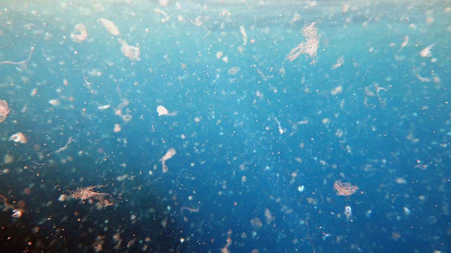 Sea water contaminated by micro plastic. Photograph by Tunatura