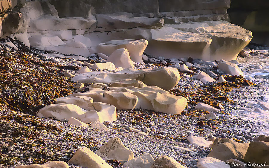 Sea-worn Portland Rocks Photograph by Alan Ackroyd