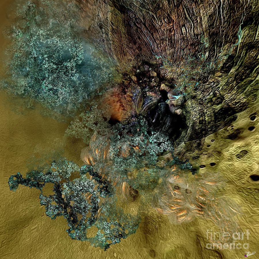 Seabed Digital Art by Trish Lawitch | Fine Art America