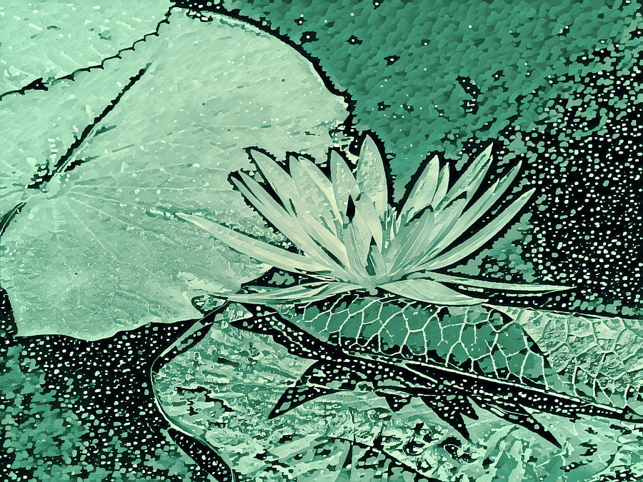 Seafoam Green Water Lily Abstract Digital Art by Marianne Campolongo