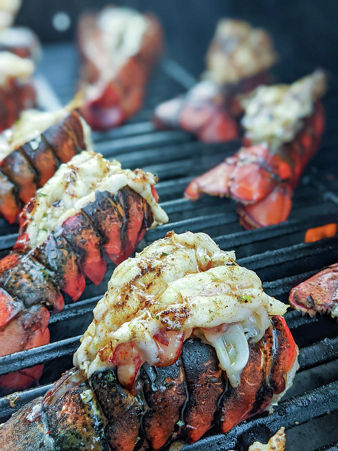 Seafood And Lobster Grilled For Dinner Photograph by Alex Grichenko