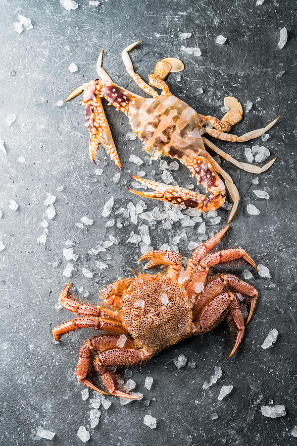 Seafood background Photograph by Asmr