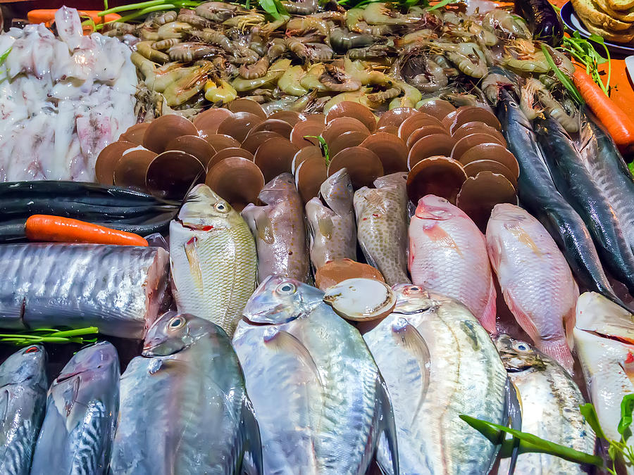Seafood catch on ice at the fish market Photograph by VladyslavDanilin