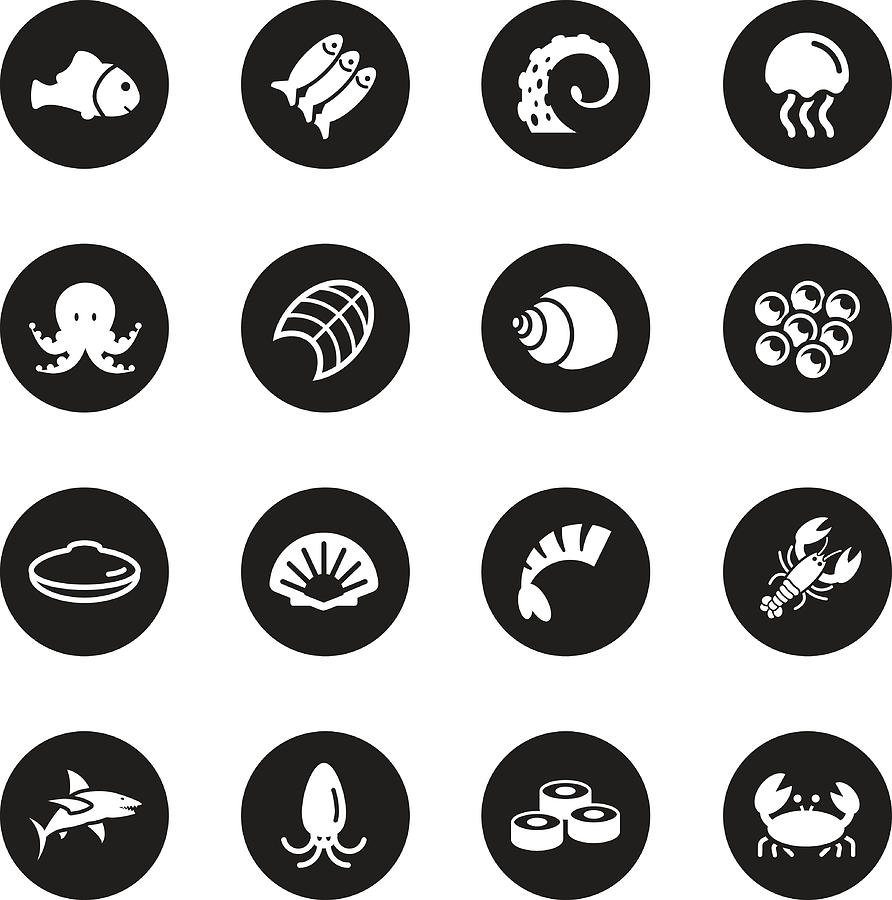 Seafood Icons - Black Circle Series Drawing by Rakdee