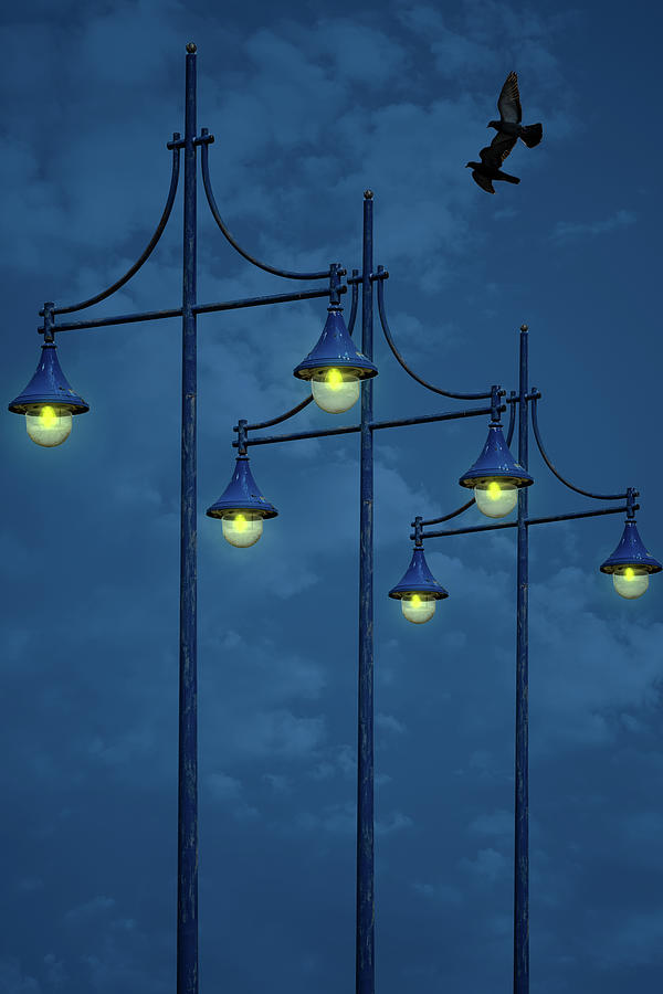 Seafront Street Lights Photograph by Chris Lord
