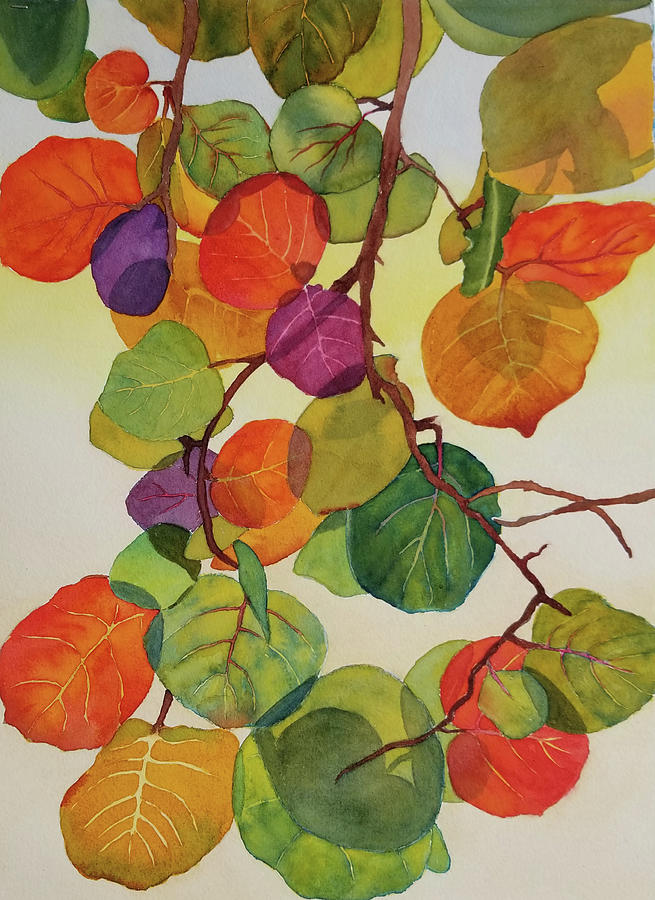 Seagrape Leaf Painting - Seagrape Cascade by Judy Mercer