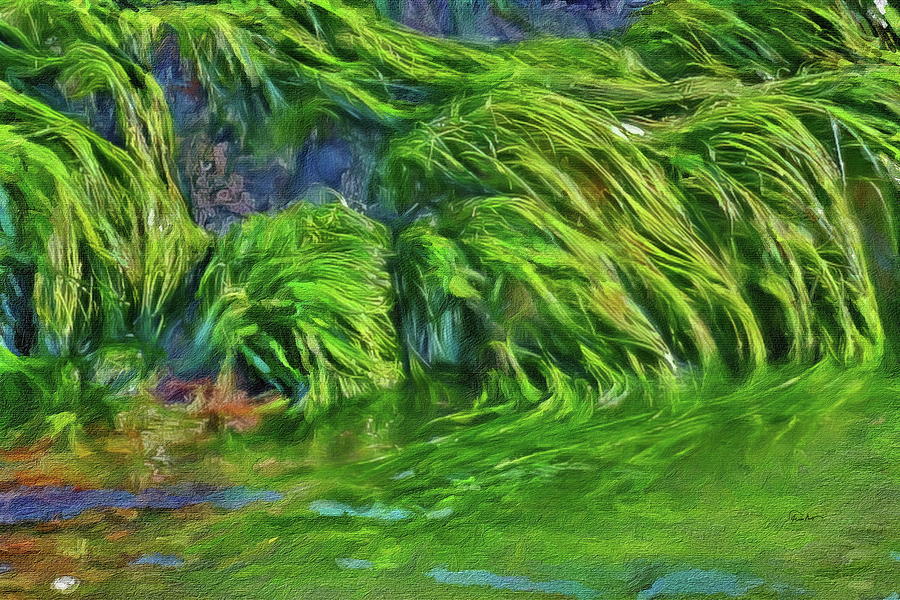 Seagrass at Low Tide Digital Art by Russ Harris