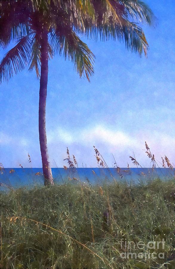 Seagrass bends in the breeze under a palm tree on a Key Biscayne beach Photograph by William Kuta