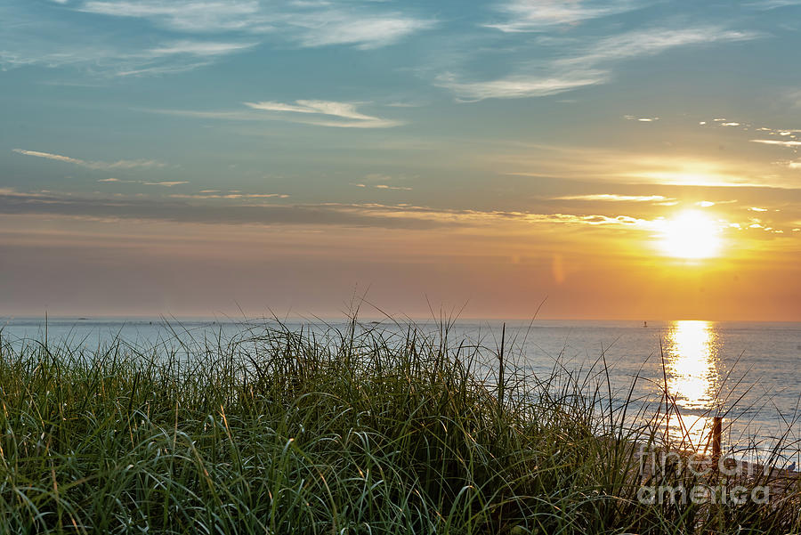 Seagrass Sunrise Photograph
