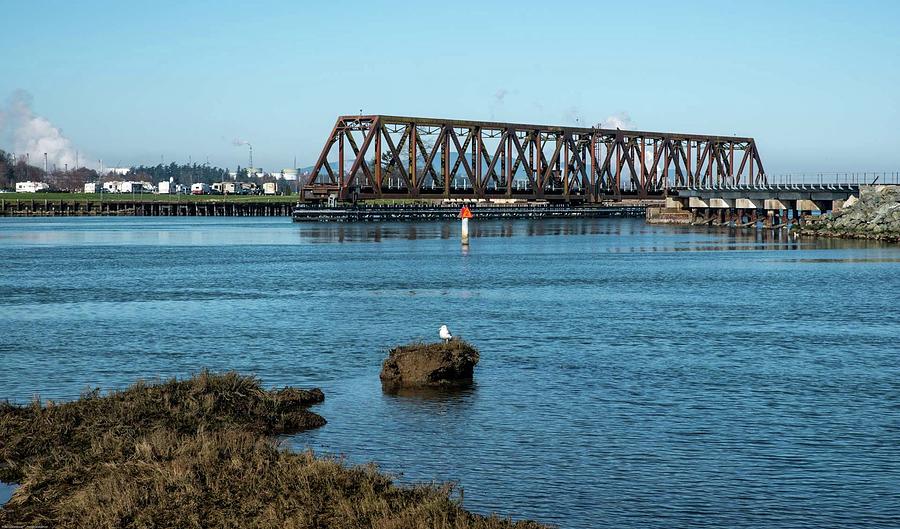 Seagull and Swinomish Bridge Photograph by Tom Cochran