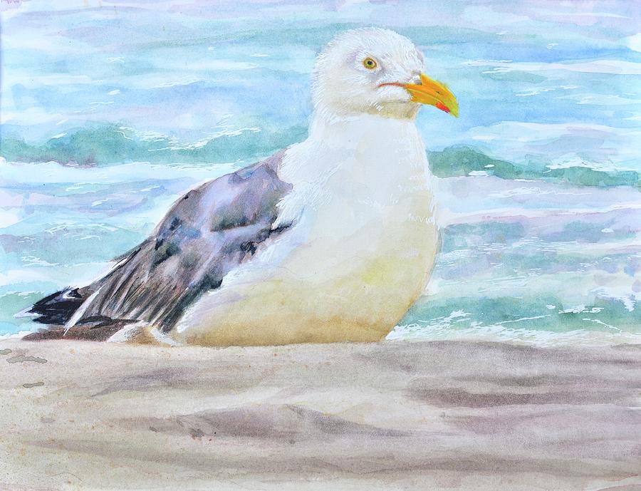Seagull at Rest Painting by Patty Kay Hall