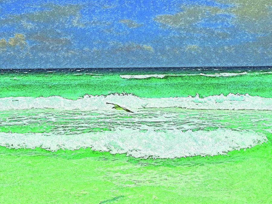 Seagull Flying at Sandestin Digital Art by Island Hoppers Art