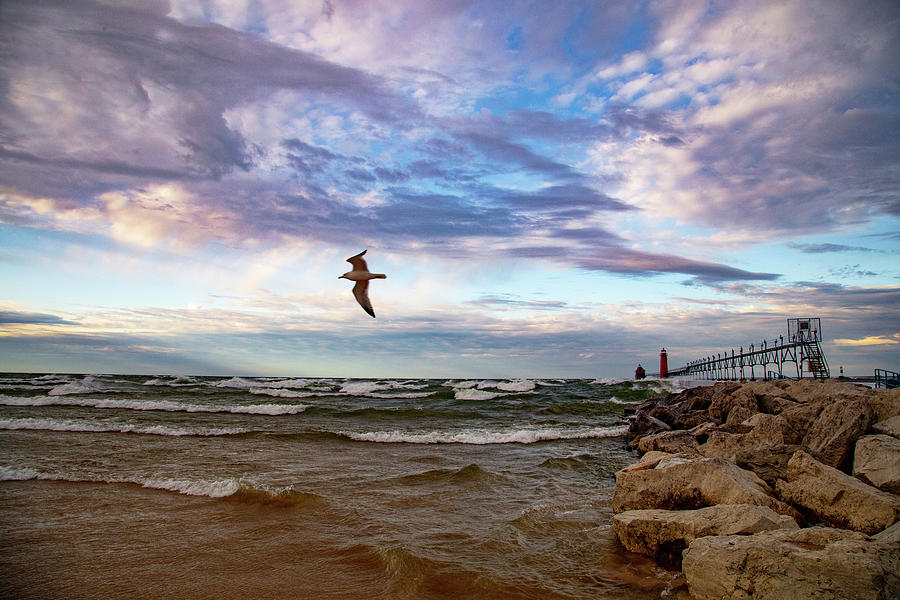 Seagull flying by Grand Haven Michigan Lighthouse Photograph by Eldon McGraw