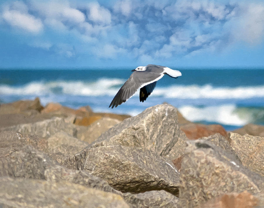 Seagull Flying Parallel Over Rocks At Kure Beach NC Painted Digital Art Mixed Media by Sandi OReilly