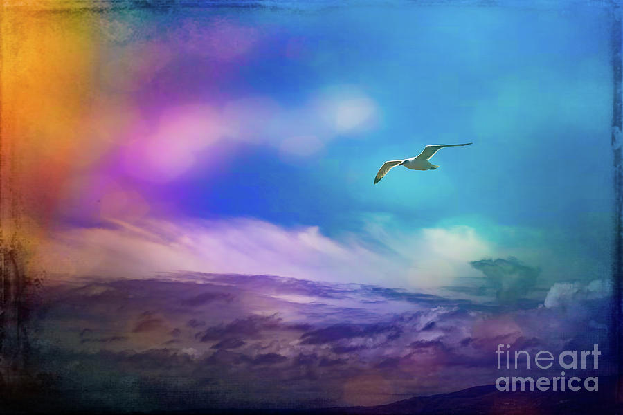 Seagull Flying through Colorful Clouds Photograph by Roslyn Wilkins