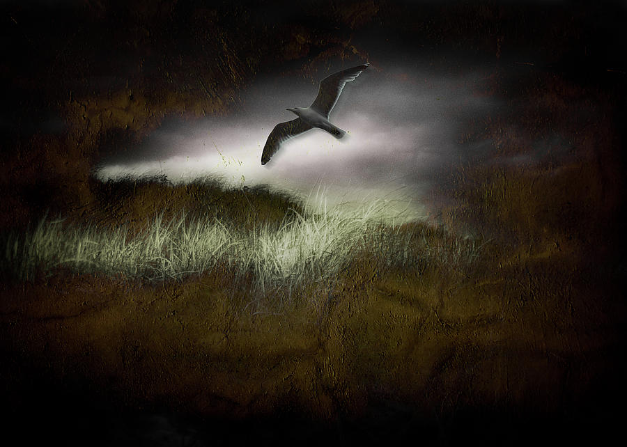 Seagull In Dark Landscape Digital Art