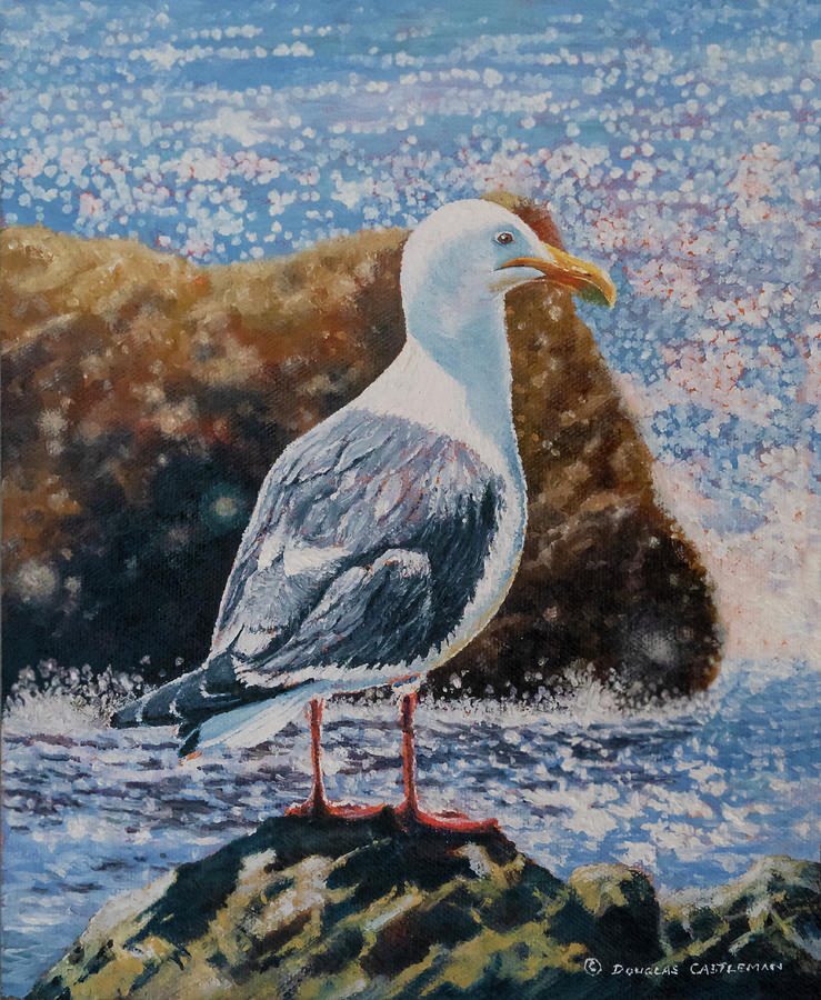 Seagull on Rock Painting by Douglas Castleman