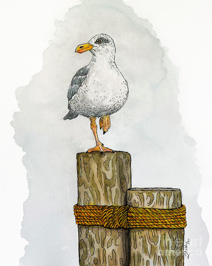 Seagull on Waterfront Pilings Painting by Shirley Dutchkowski