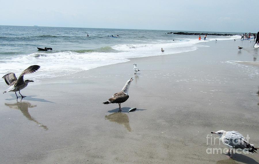 Seagull Standoff Photograph by Mars Besso