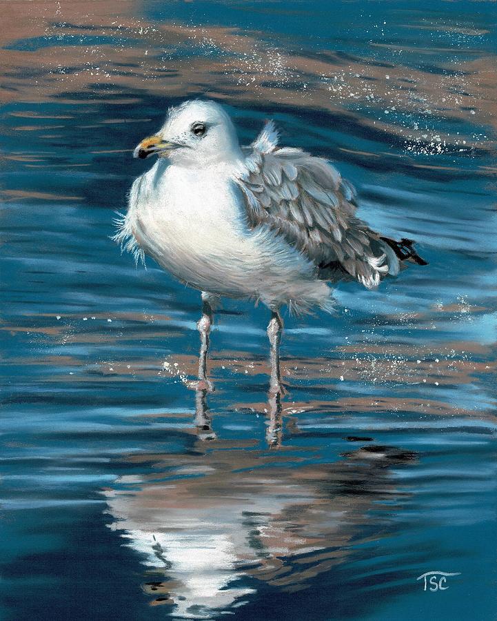 Seagull Painting by Tammy Crawford