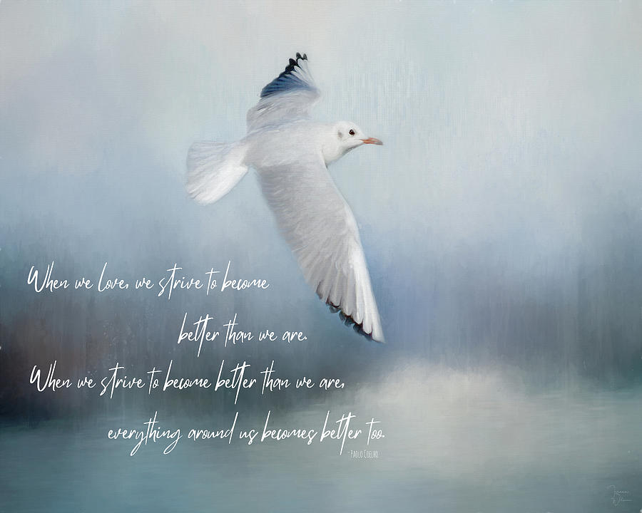 Seagull With Paolo Coehlo Quote Digital Art by Teresa Wilson
