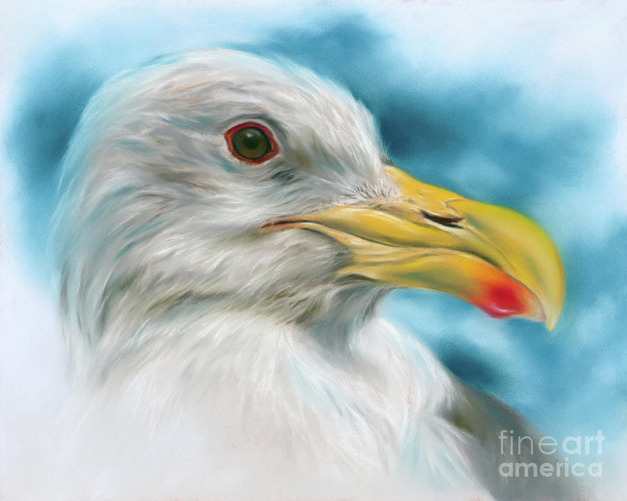 Seagull with Red Spotted Beak Painting by MM Anderson