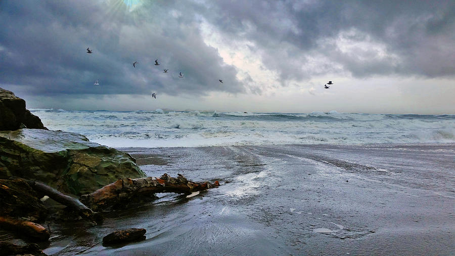 Seagulls and Surf Photograph by Jason Judd