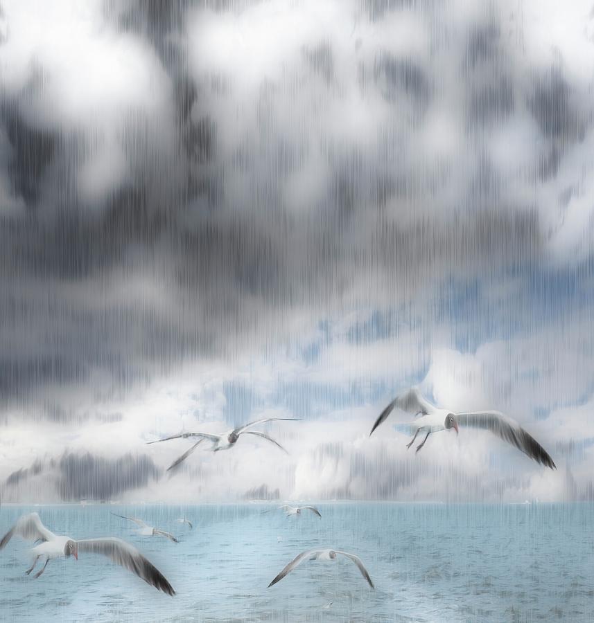 Seagulls Flying in the Rain Mixed Media by Bob Pardue