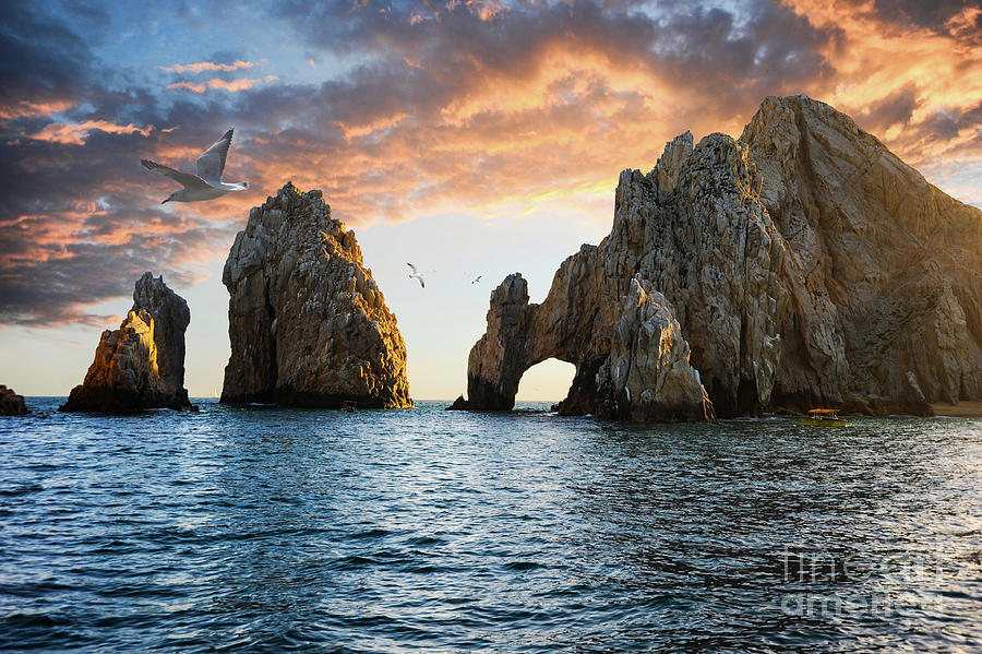 Seagulls soaring above the arch of Cabo San Lucas. Photograph by Gunther Allen
