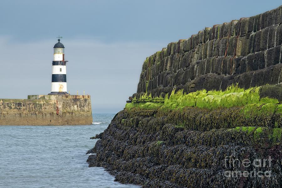 Seaha, Lighthouse, North East England Photograph by Martyn Arnold