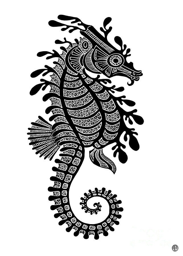 Seahorse Ink 1  Drawing by Amy E Fraser
