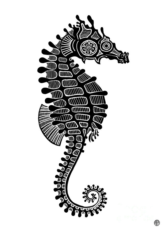 Seahorse Ink 2  Drawing by Amy E Fraser