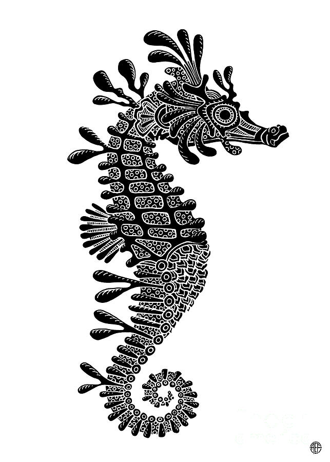 Seahorse Ink 3  Drawing by Amy E Fraser