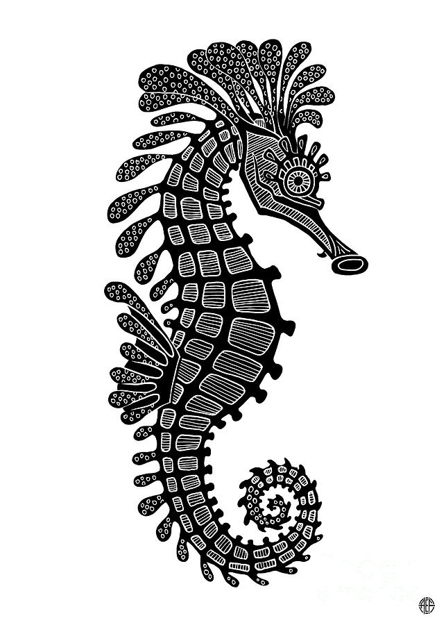 Seahorse Ink 4  Drawing by Amy E Fraser