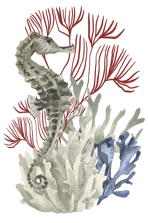 Seahorse with Coral Digital Art by N Kirouac