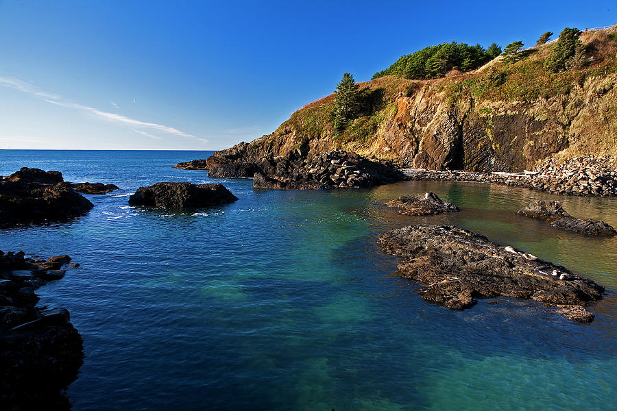 Seal Cove Photograph by Ron Miles Fine Art America