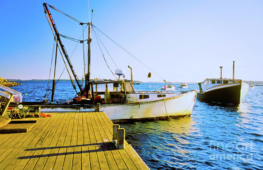 Seal Harbor of Maine Photograph by Michael McCormack - Fine Art America