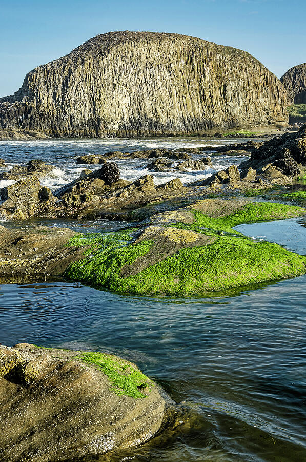 Seal Rock Beach 26 Photograph by Frank Barnitz Fine Art America