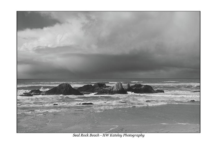 Seal Rock Beach with Border Photograph by HW Kateley