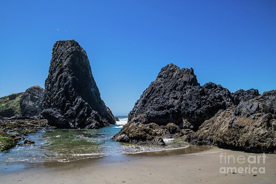 Seal Rock Monoliths Photograph by Suzanne Luft
