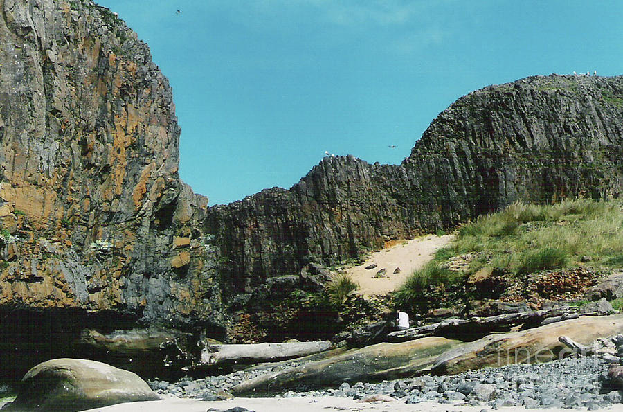 Seal Rock Oregon Shoreline Photograph