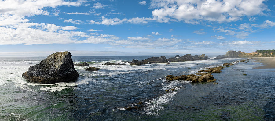 Nature Photograph - Seal Rock by Pelo Blanco Photo