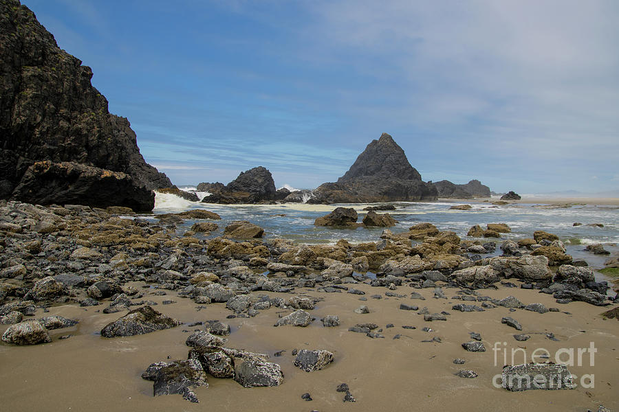 Seal Rock Rocks Photograph by Suzanne Luft