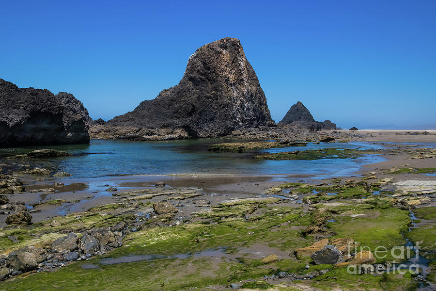 Seal Rocks Blue and Green Seascape Photograph by Suzanne Luft