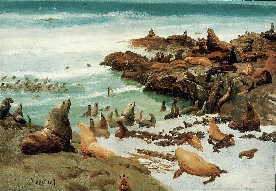 Albert Bierstadt  Painting - Seal Rocks, Farallons by Albert Bierstadt