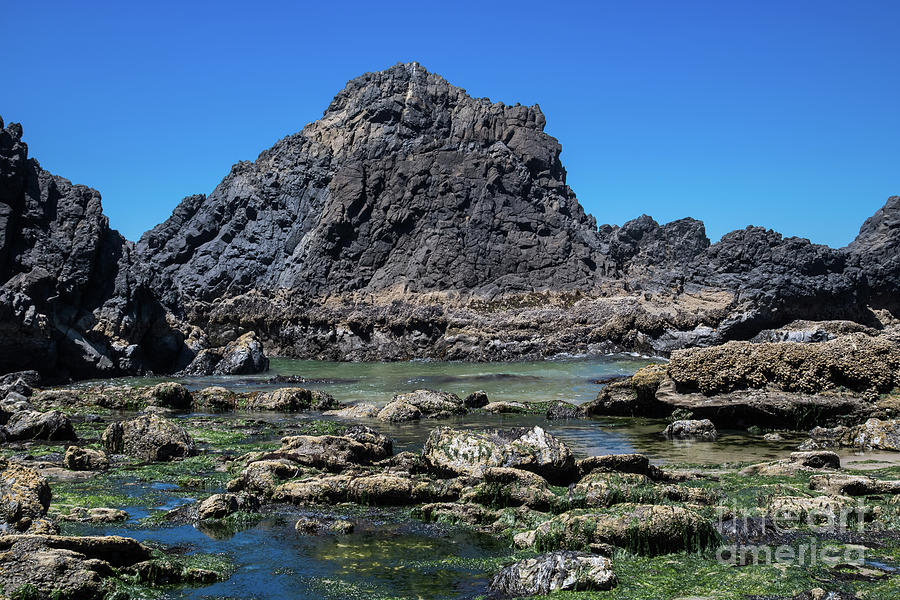 Seal Rocks Monoliths and Lava Rocks Photograph by Suzanne Luft