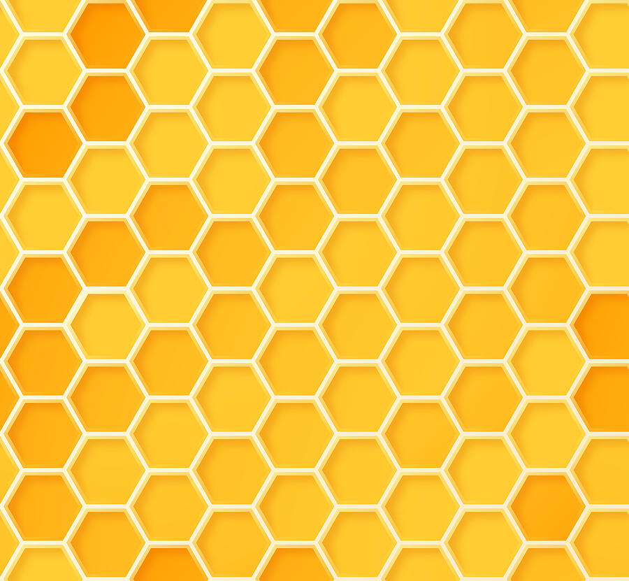 Seamless Beehive Honeycomb Pattern Drawing by Filo