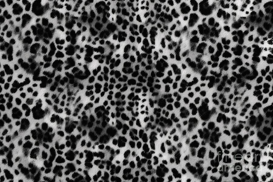 Wildlife Painting - Seamless Leopard Print Or Cheetah Spots Pattern Tileable Monochrome Bold Black And White African Safari Wildlife Background Texture Abstract Trendy Boho Chic Fashion Animal Skin Camouflage Motif by N Akkash