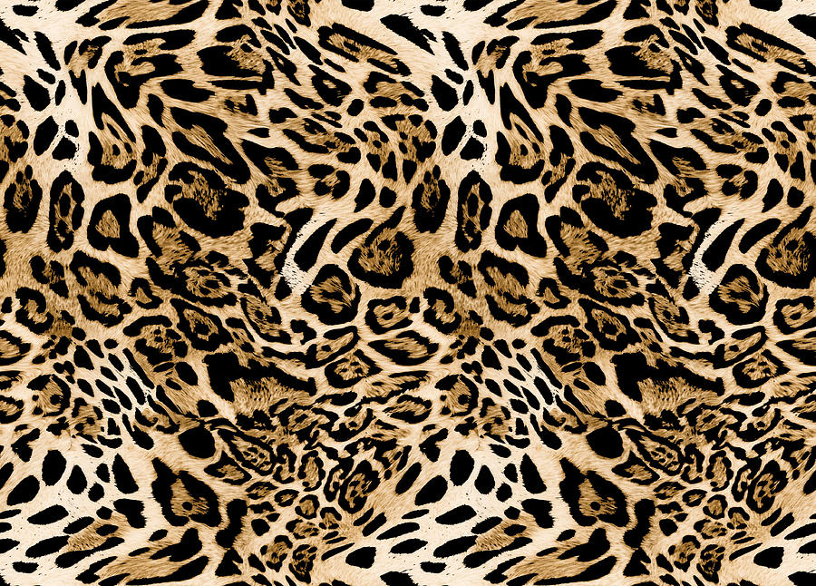 Seamless leopard texture, animal skin Photograph by Julien - Pixels