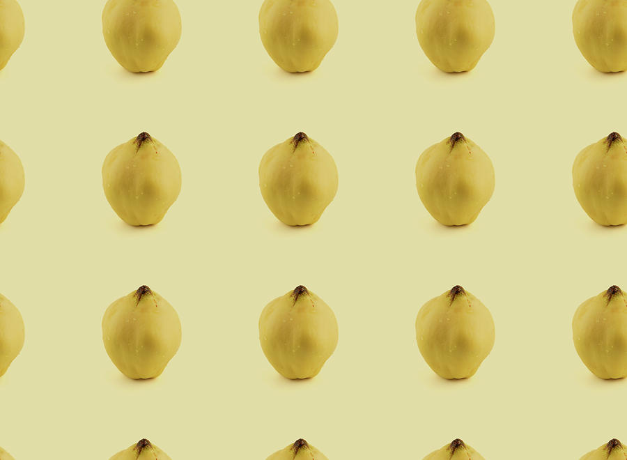 Seamless quince fruit pattern Photograph by Fabiano Di Paolo